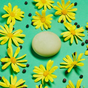 Crema solida piedi e corpo – La Saponaria