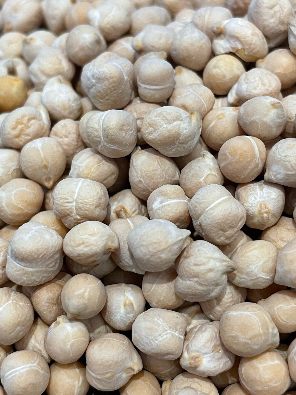 Ceci italiani biologici - immagine 3