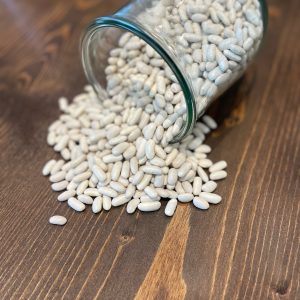 Fagioli cannellini italiani biologici