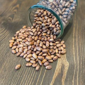 Fagioli borlotti italiani biologici