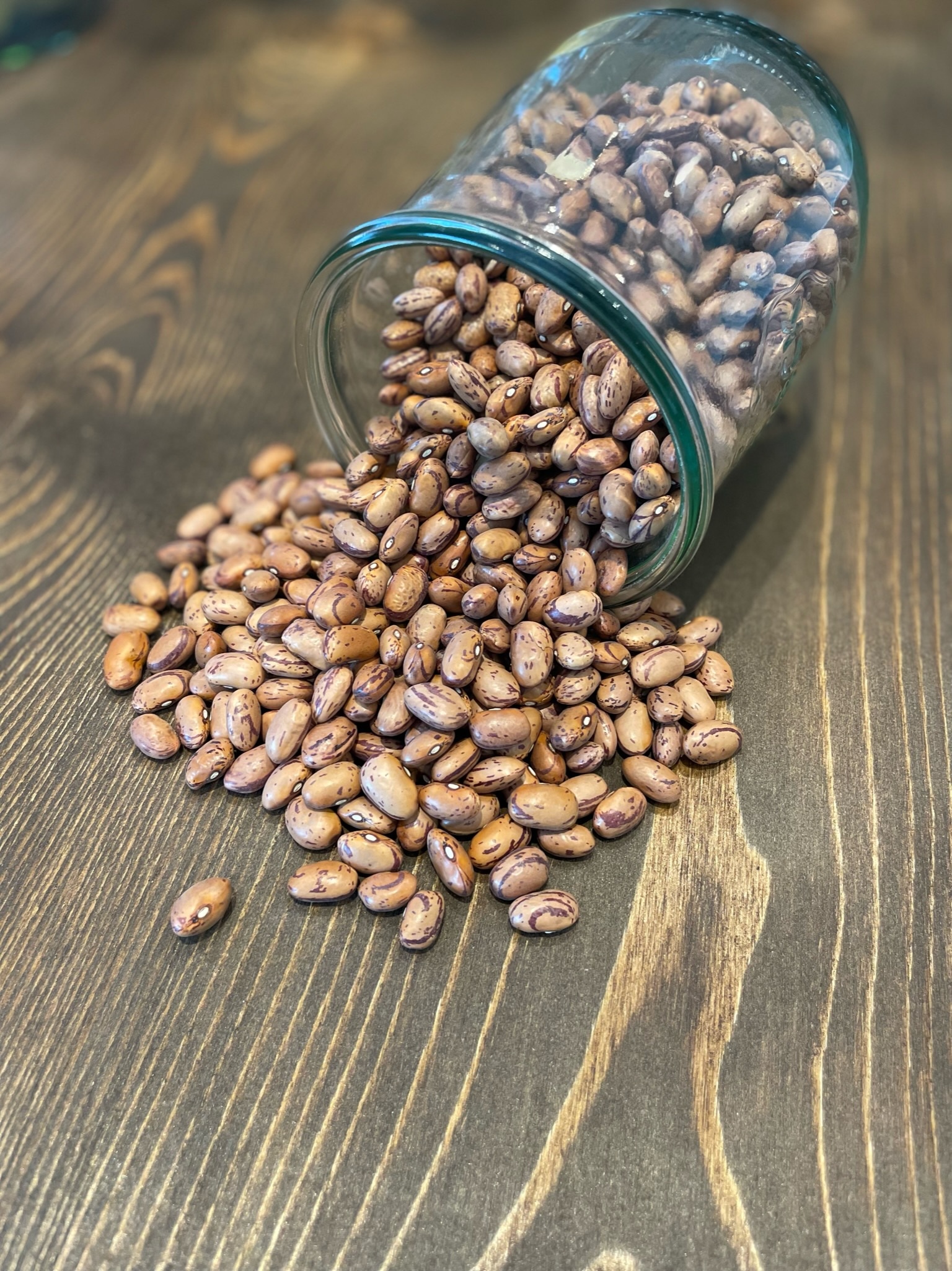 Fagioli borlotti italiani biologici