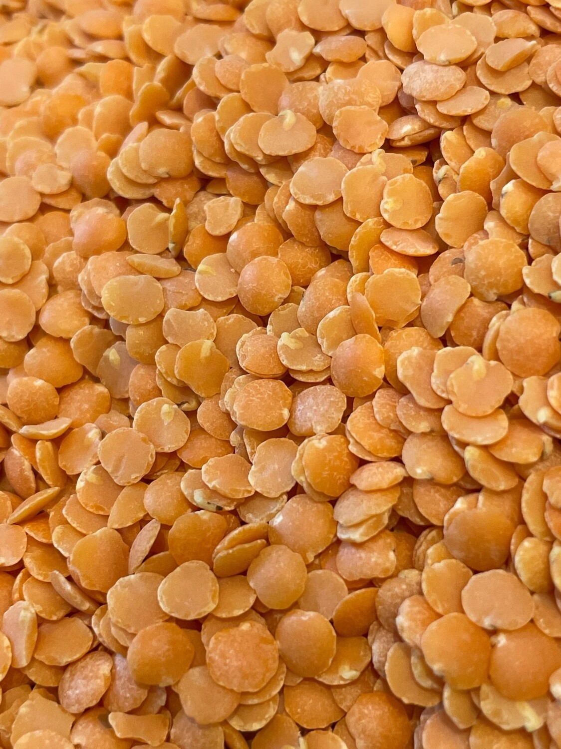 Lenticchie rosse decorticate biologiche - immagine 3