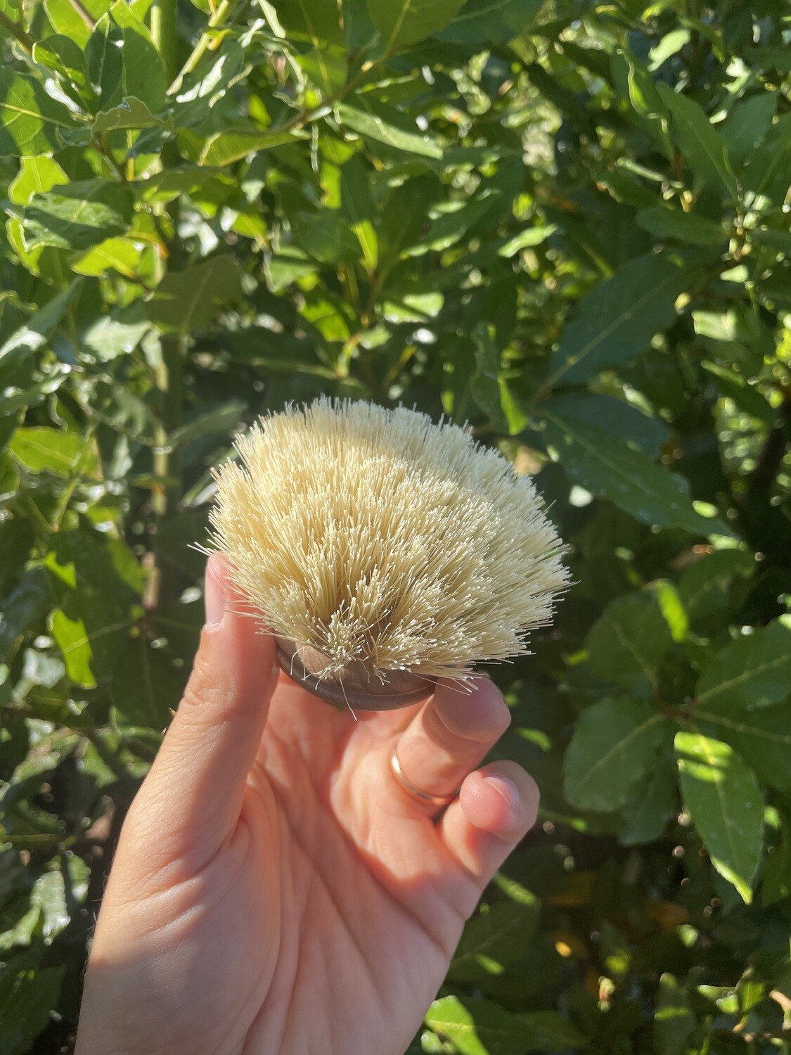 Spazzola per piatti in legno e Tampico - immagine 3