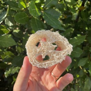 Porta solido Naturale in Luffa – Officina Naturae