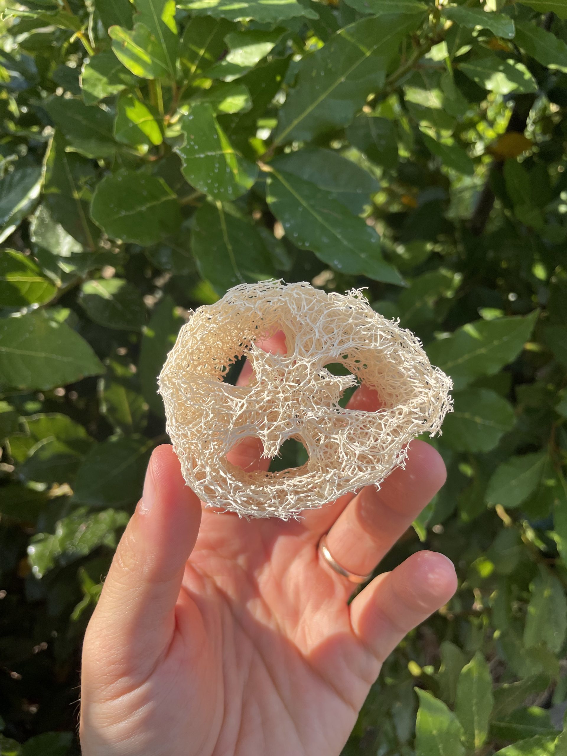 Porta solido Naturale in Luffa – Officina Naturae - immagine 2