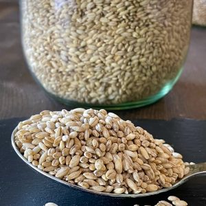 Orzo perlato biologico