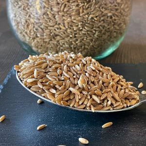 Farro perlato biologico