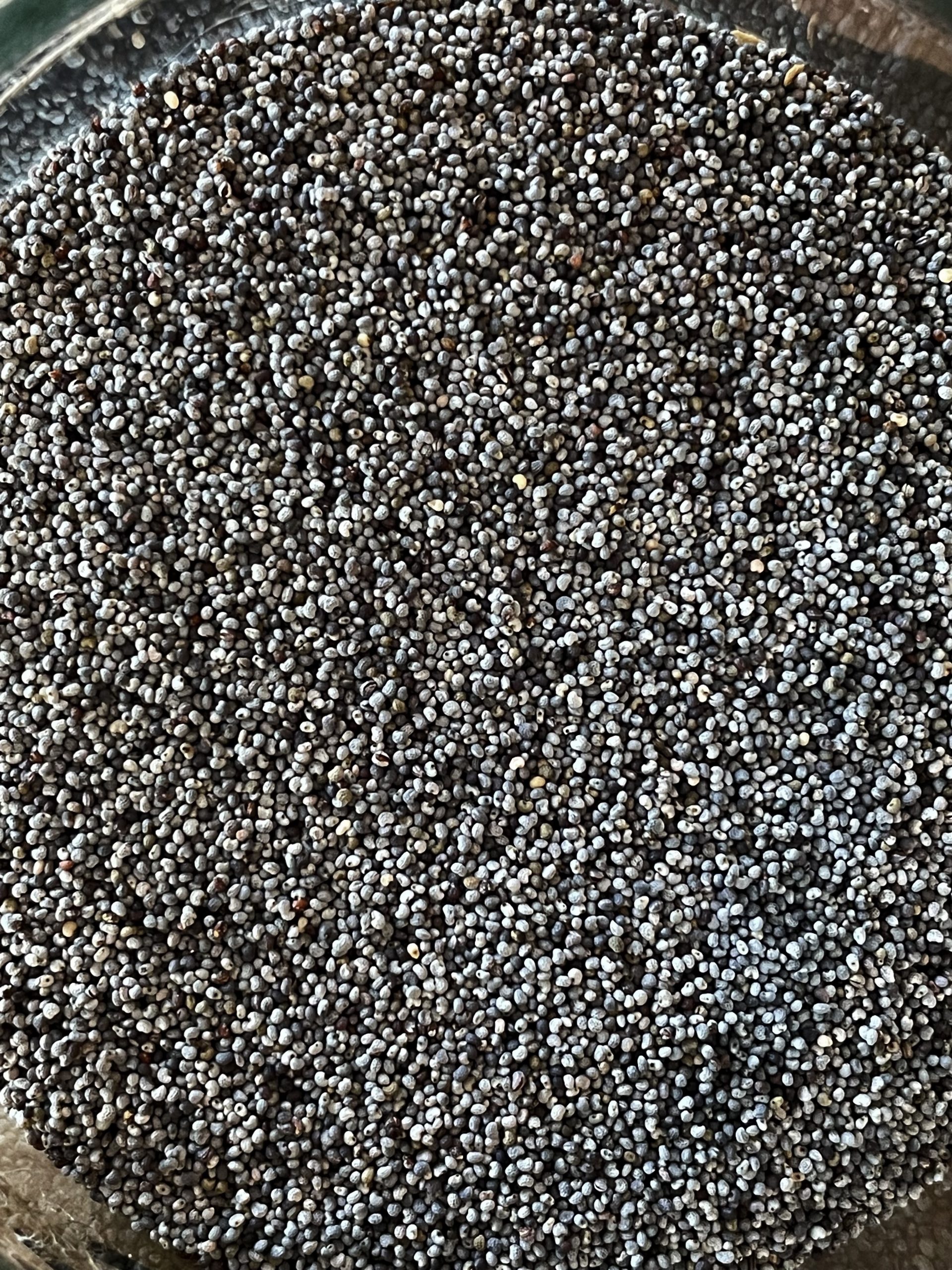 Semi di papavero biologici - immagine 2