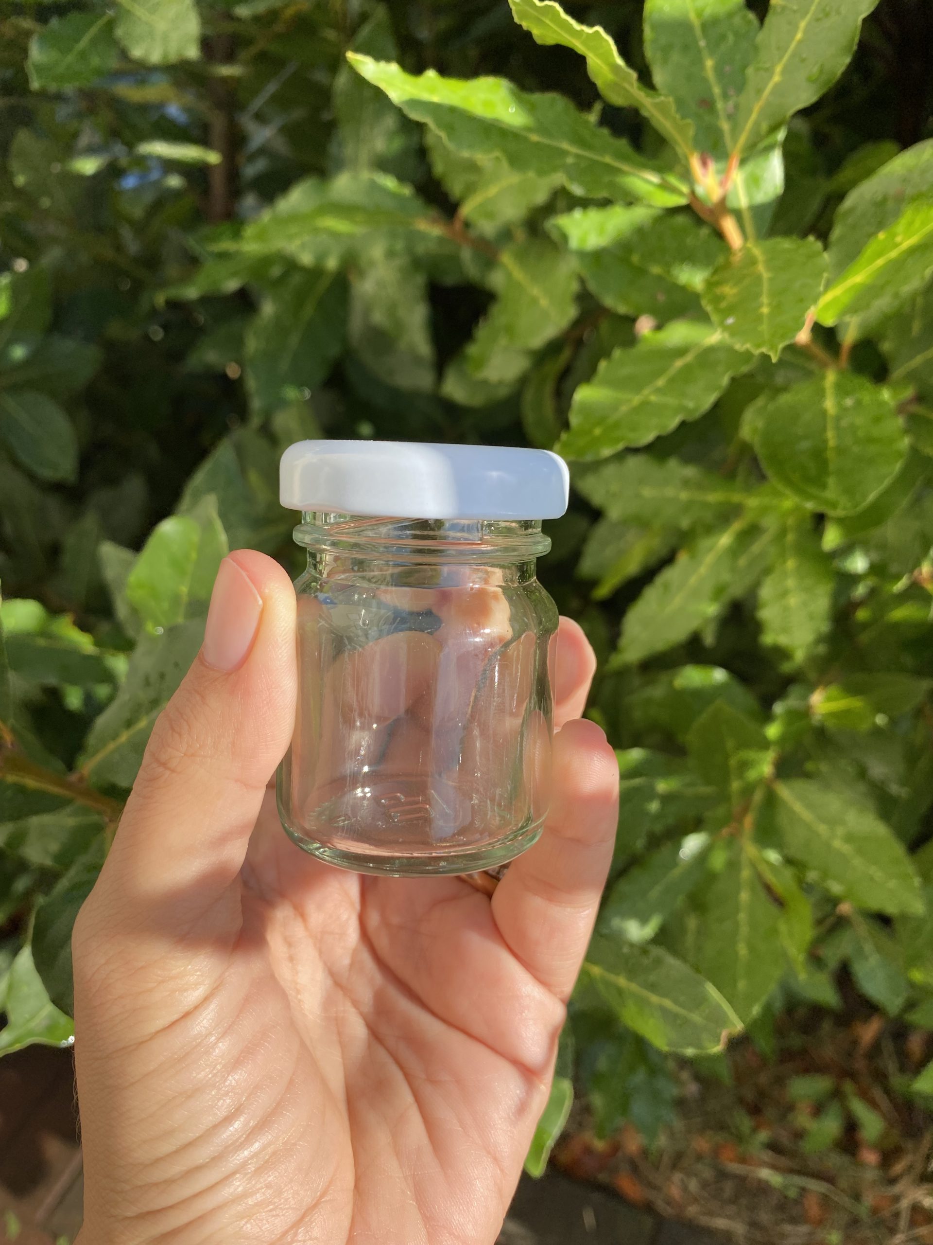 Vasetto in vetro 45ml - immagine 2