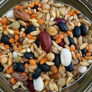 Zuppa del campo Biologica