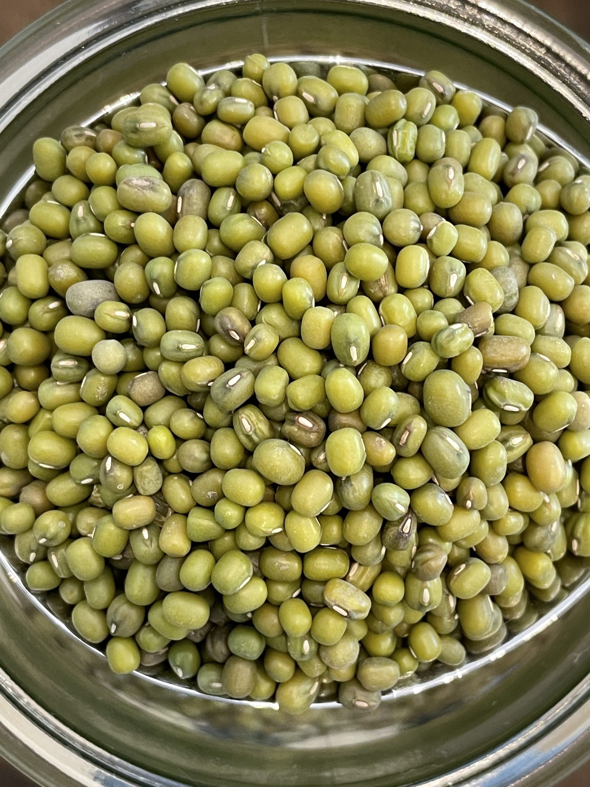 Fagioli Mung Biologici