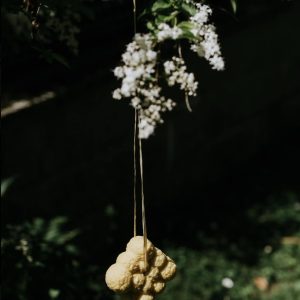 Bagnodoccia California – Ethical Grace