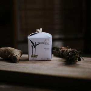 Shampoo e balsamo Gengevo – Ethical Grace