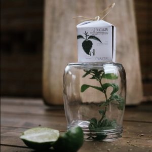 Shampoo e balsamo Lo Scacciaguai – Ethical Grace