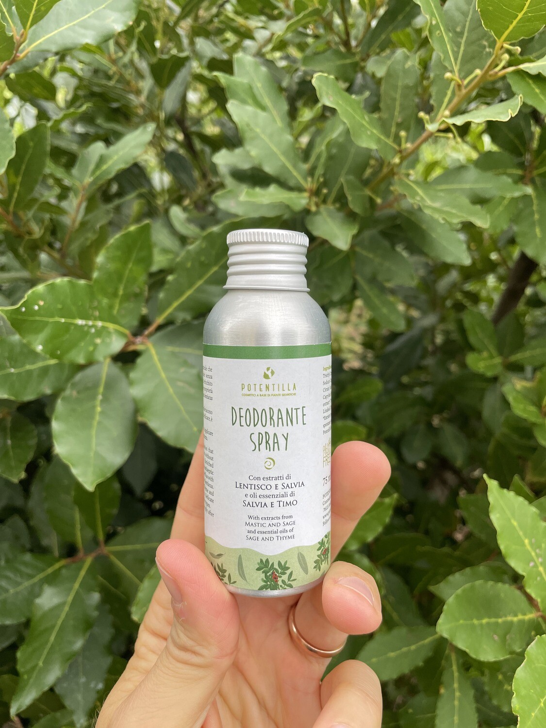 Deodorante Spray LENTISCO & SALVIA – Potentilla - immagine 3