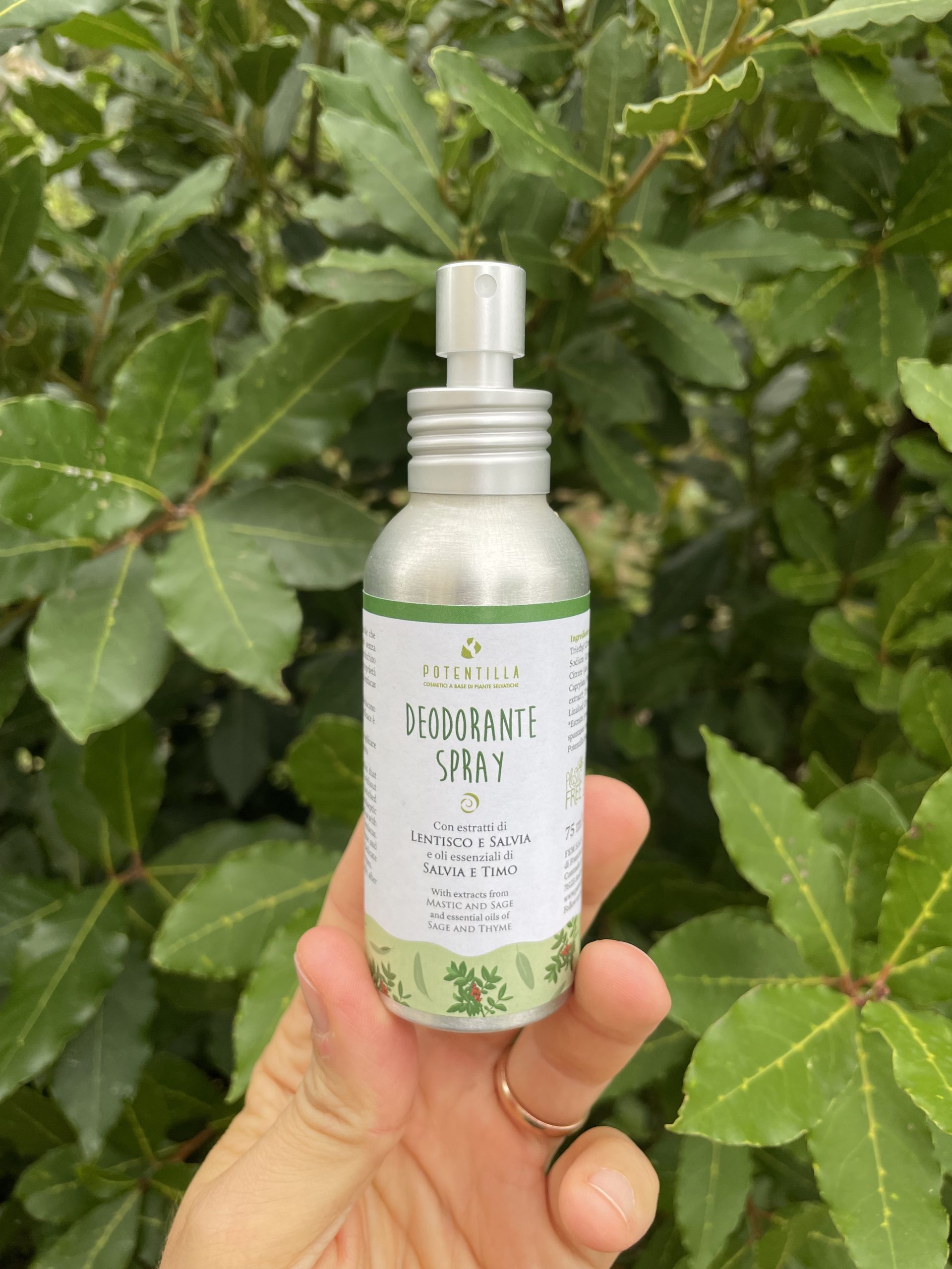 Deodorante Spray LENTISCO & SALVIA – Potentilla