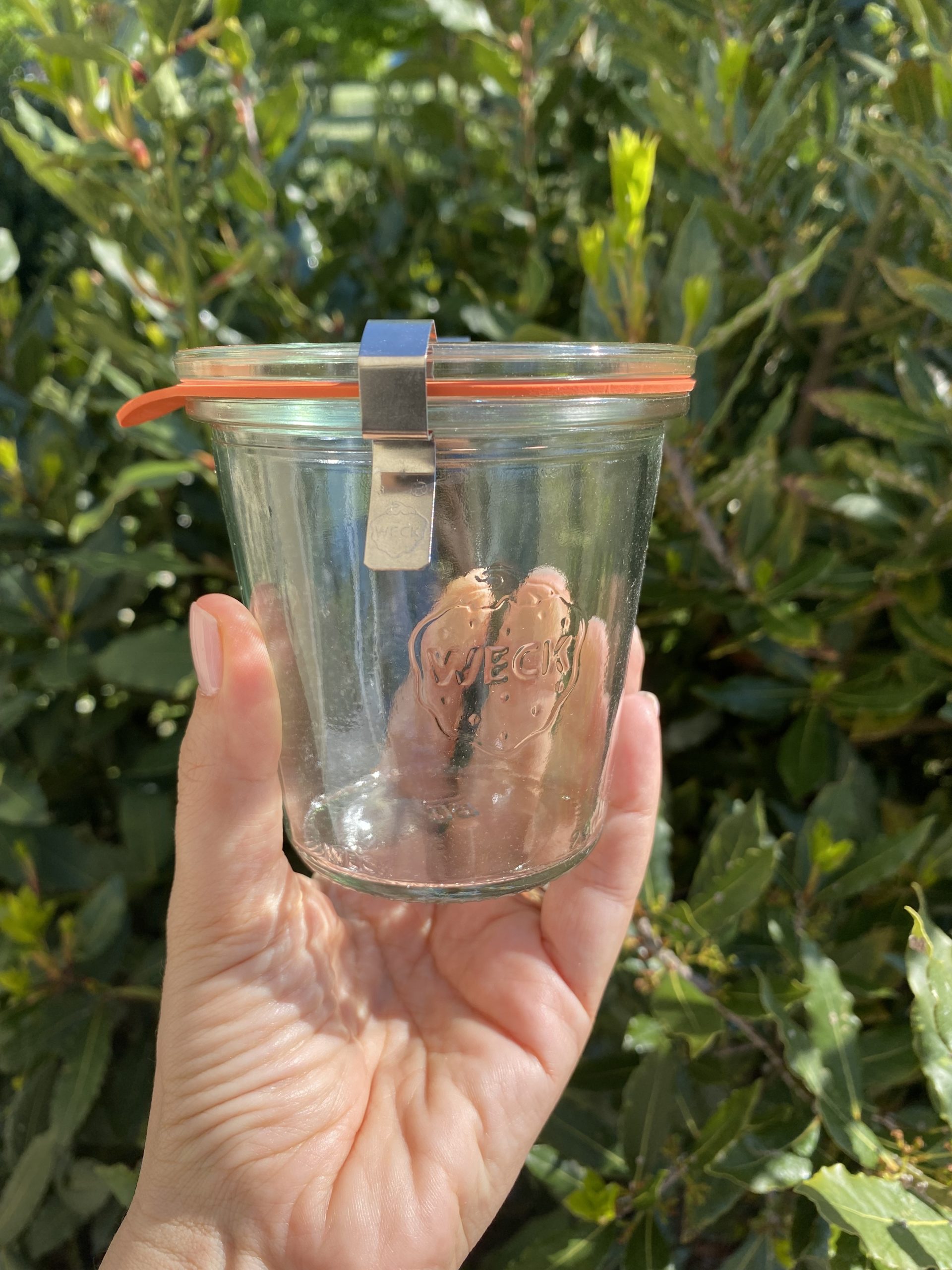 Vasetto in vetro WECK - immagine 2