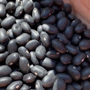 Fagioli neri biologici