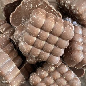 Cioccolato al latte VEG bio