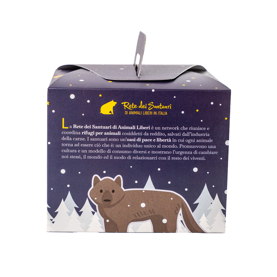 PANETTONE Rustico con noci, fichi e uvetta – artigianale - immagine 6