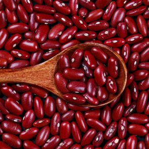 Fagioli rossi biologici