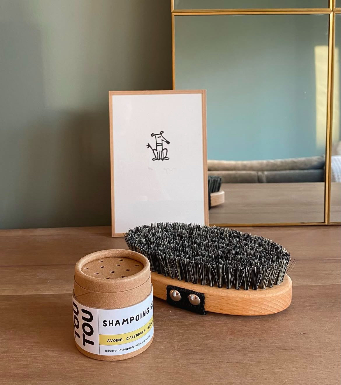 Shampoo Secco Biologico per Cani e Gatti – TouTou - immagine 2