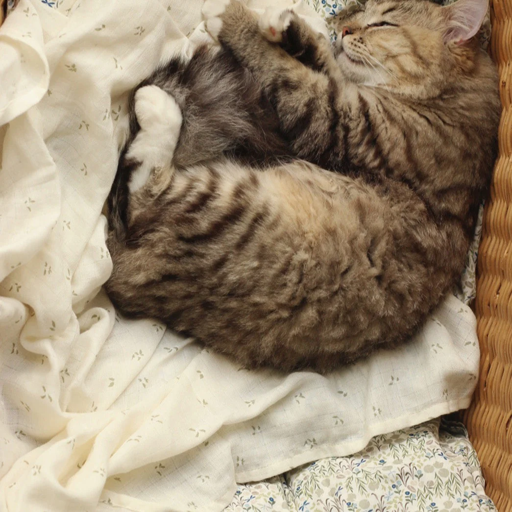 Avery Row Mussola Ortica - immagine 6