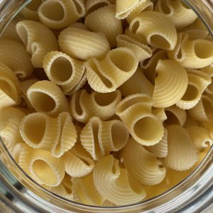 Conchiglie di semola bio