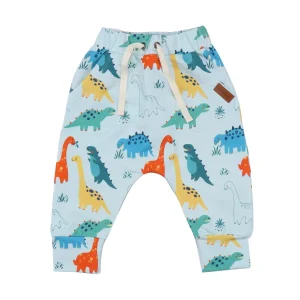 Pantaloni  Dinosauri Ultima taglia 62/68 cm 3/6 mesi – Walkiddy