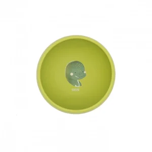 Ciotola con Ventosa in Silicone Dinosauro Cracky – SASSI