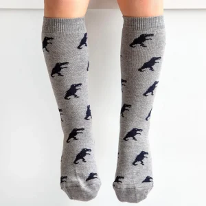 Calze bimbo in cotone con dinosauri Meia Pata